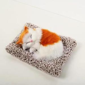 Sleeping Cat